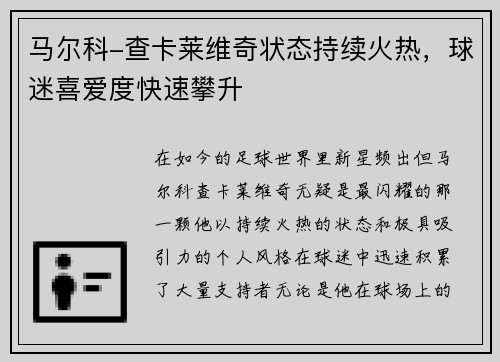马尔科-查卡莱维奇状态持续火热，球迷喜爱度快速攀升