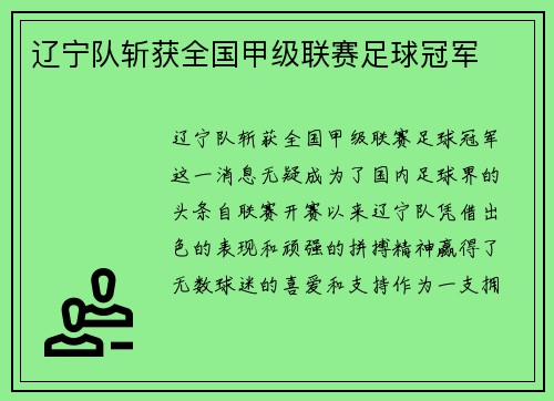 辽宁队斩获全国甲级联赛足球冠军